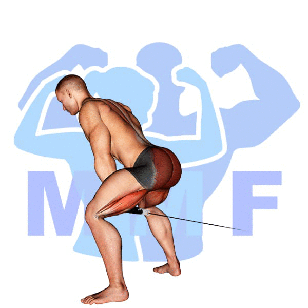 Graphic image of a muscular man performing Cable Pull Throughs.