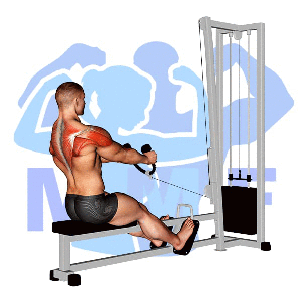Graphic image of a muscular man performing Cable Rope Rear Delt Rows.