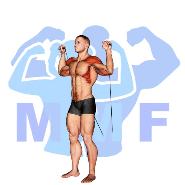 Graphic image of a muscular man performing Cable Shoulder Press.
