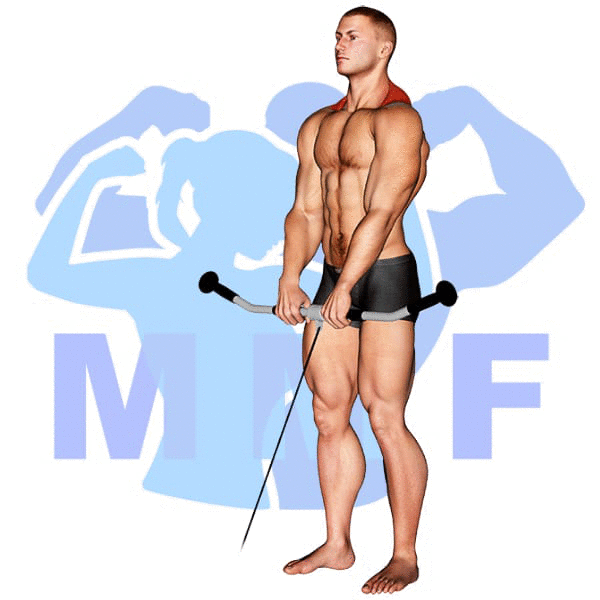 Graphic image of a muscular man performing Cable Shrug.