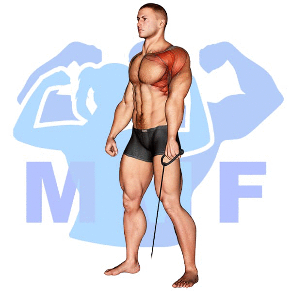 Graphic image of a muscular man performing Cable Single Arm Forward Raise.