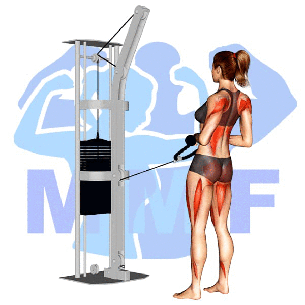 Graphic image of a fit woman performing Cable Squat Row.