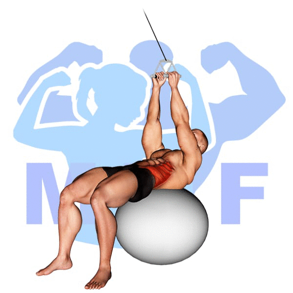 Graphic image of a fit man performing alternate cable triceps extensions.