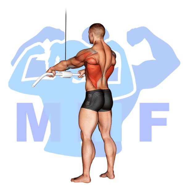 Graphic image of a muscular man performing Cable Straight Arm Low Pulldown.