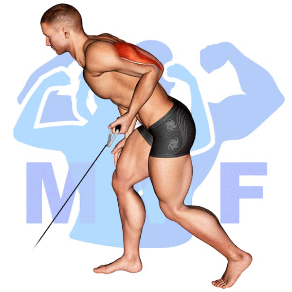 Graphic image of a muscular man performing Cable Tricep Kickbacks.