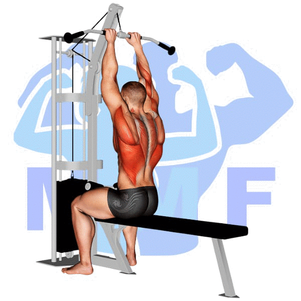 Graphic image of a muscular man performing Close Grip Lat Pulldown.