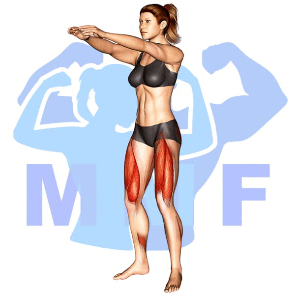 Graphic image of a fit woman performing Half Squat.