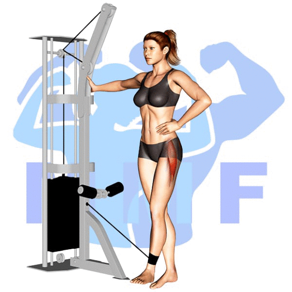 Graphic image of a fit woman performing Hip Abduction.