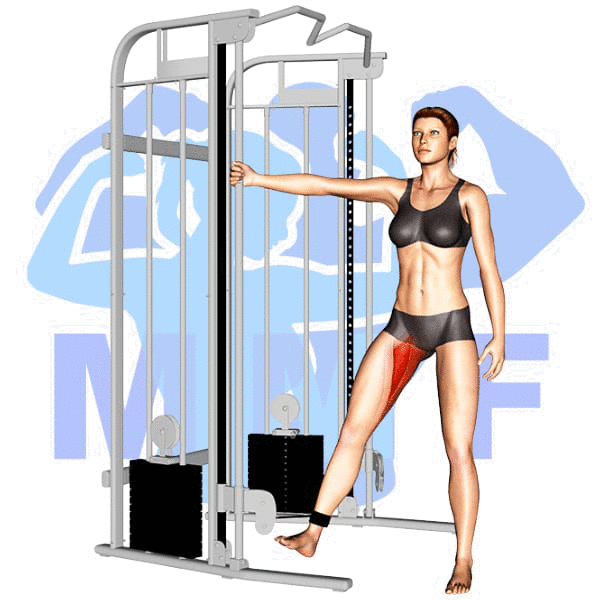 Graphic image of a fit woman performing Hip Adduction.