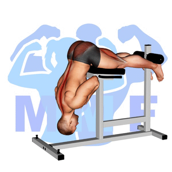 Graphic image of a muscular man performing Hyperextension.