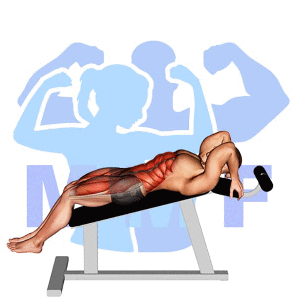 Graphic image of a muscular man performing Incline Leg Hip Raise.
