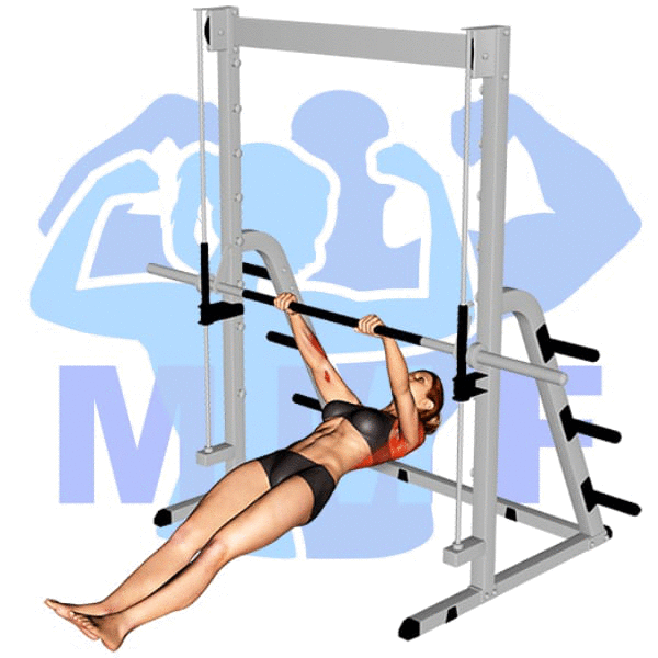Graphic image of a fit woman performing Inverted Row.