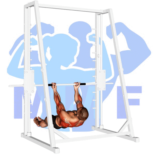 Graphic image of a muscular man performing Inverted Row Underhand Grip.