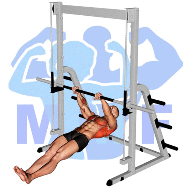 Graphic image of a muscular man performing Inverted Rows.