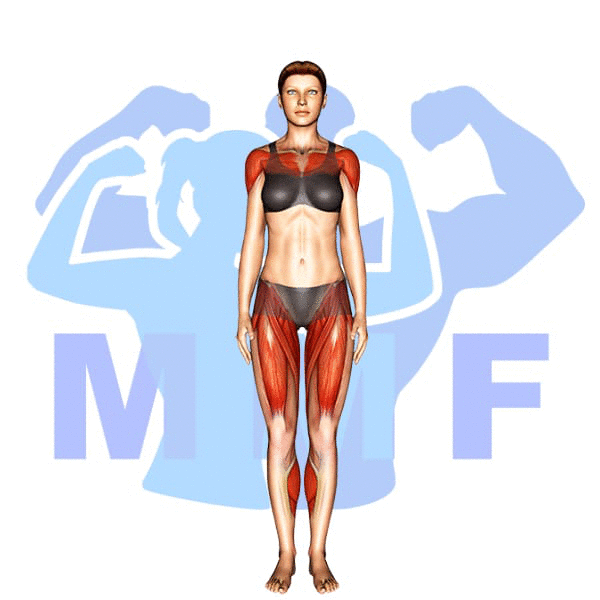 Graphic image of a fit woman performing Jumping Jack Side Straddle Hop.