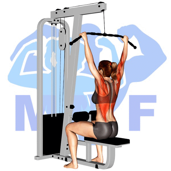 Graphic image of a fit woman performing Lat Pulldown.