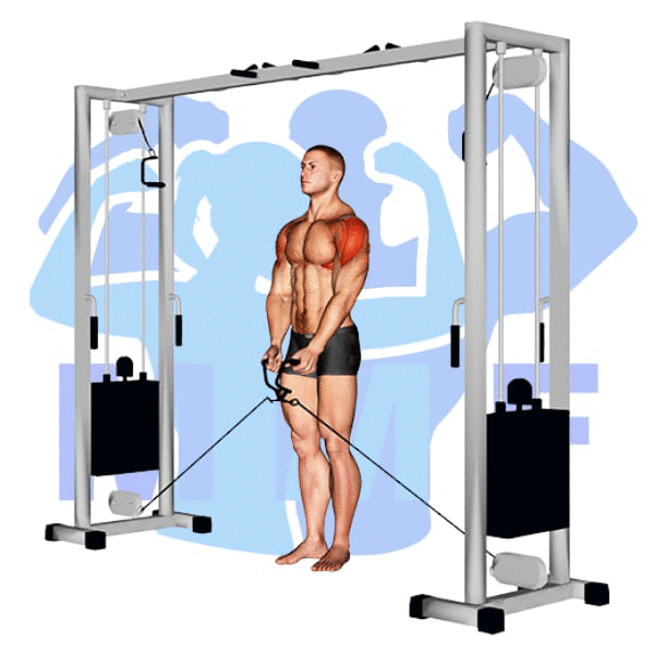 Graphic image of a muscular man performing Lateral Cable Raises.