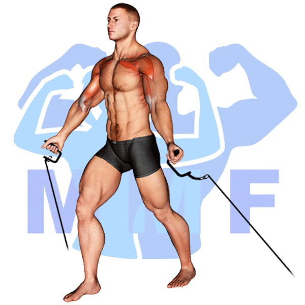 Graphic image of a muscular man performing Low Cable Fly.