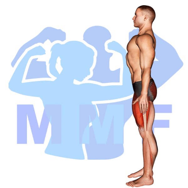 Graphic image of a muscular man performing Lunge.