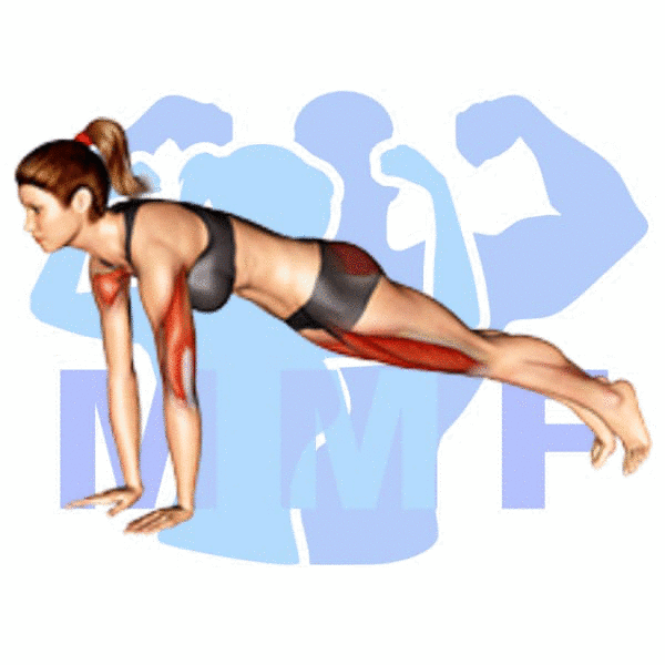 Graphic image of a fit woman performing Lunge Push Up.