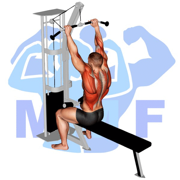 Graphic image of a muscular man performing Neutral Grip Lat Pulldown.