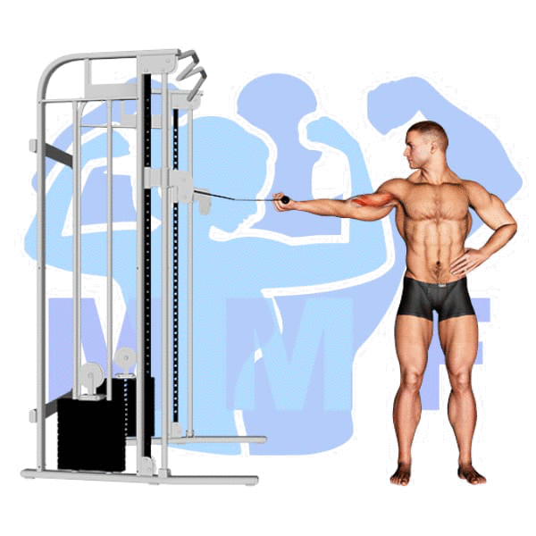 Graphic image of a muscular man performing One Arm Cable High Curl.