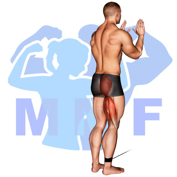 Graphic image of a muscular man performing One Legged Cable Kickback.