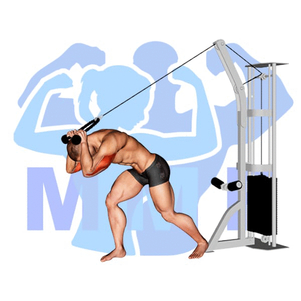 Graphic image of a muscular man performing Overhead Rope Tricep Extension.