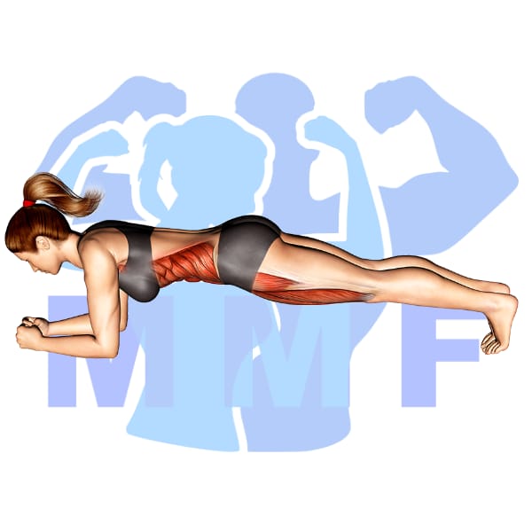 Graphic image of a fit woman performing Plank.