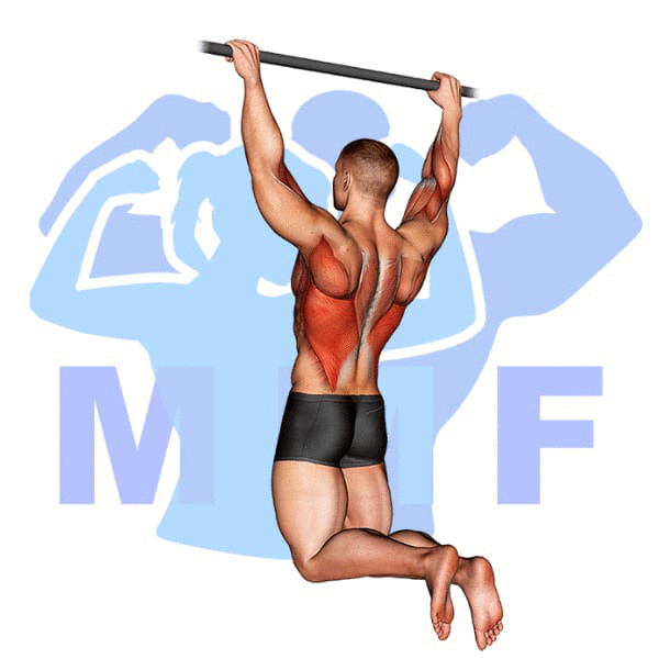 Graphic image of a muscular man performing Rear Pull Up.