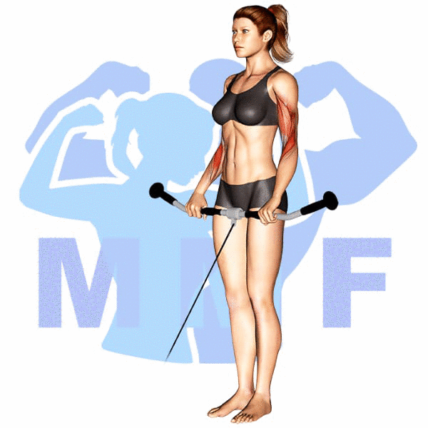 Graphic image of a fit woman performing Reverse Grip Cable Curls.