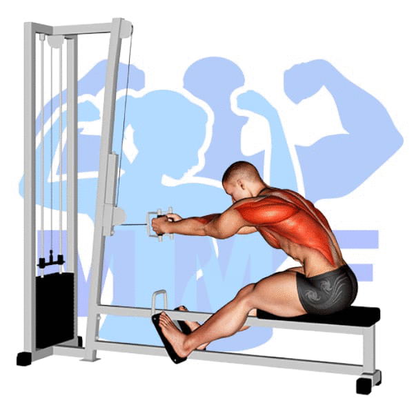 Graphic image of a muscular man performing Seated V Bar Cable Row.
