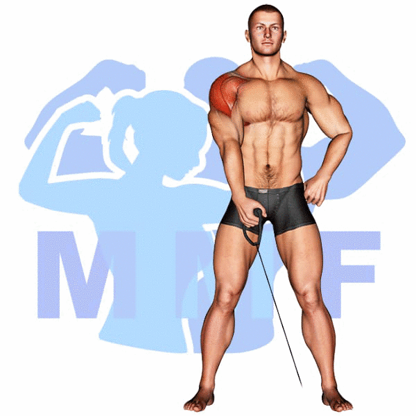 Graphic image of a muscular man performing Single Arm Lateral Cable Raises.
