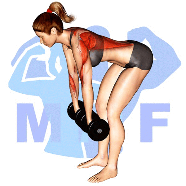 Graphic image of a fit woman performing alternate cable triceps extensions.