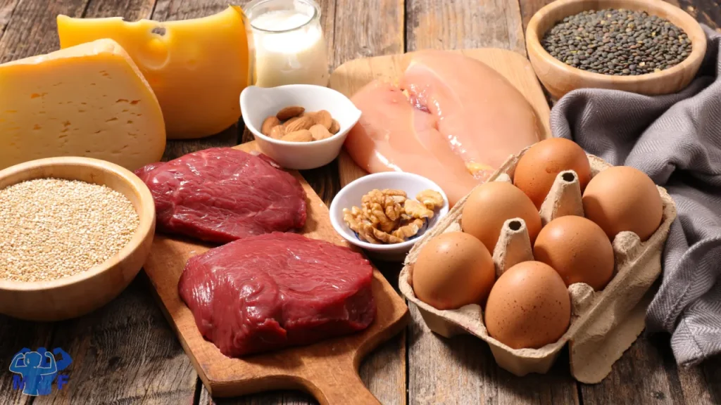 Sources of Protein Power: The Importance of Fueling Your Muscles with Protein